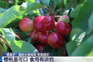 弹无虚发！小迈克尔-波特半场6中6砍下15分7篮板