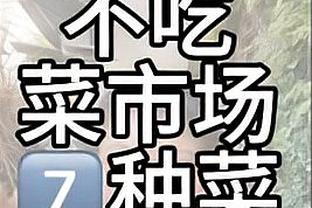 「集锦」友谊赛-赖因德斯世界波加克波两助攻 荷兰4-0大胜苏格兰